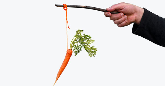 Businessman hand holding Carrot on a stick isolated on white background